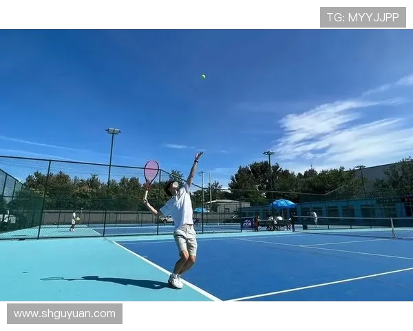 北京网球队进攻策略全解析:从技术到战术的深度剖析